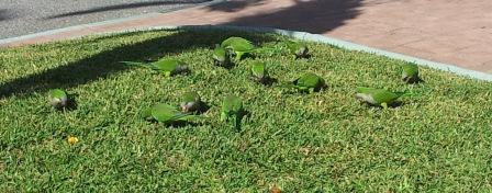 [JPG] Transat_2014_A_04