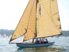 [JPG] Calypso_1